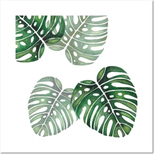 Monstera Leaf Posters and Art